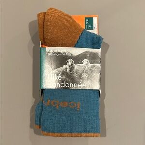 Icebreaker Men's Athletic Socks - Teal and Brown